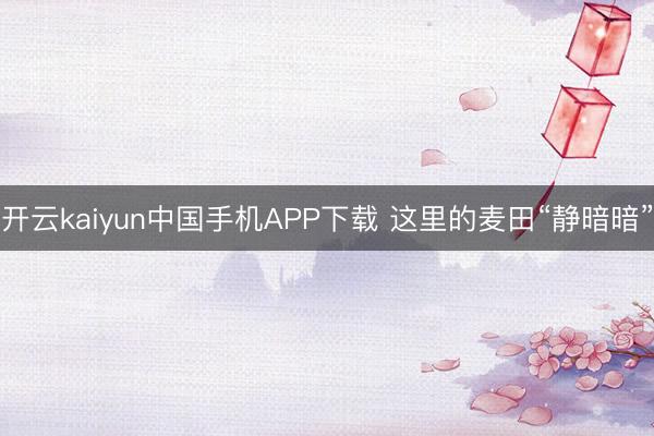 开云kaiyun中国手机APP下载 这里的麦田“静暗暗”