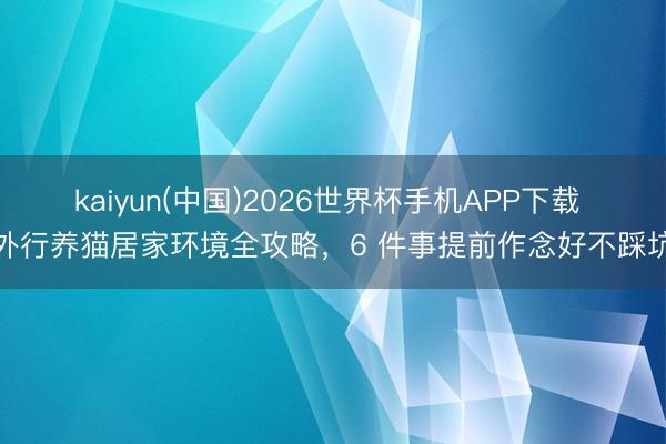kaiyun(中国)2026世界杯手机APP下载 外行养猫居家环境全攻略，6 件事提前作念好不踩坑