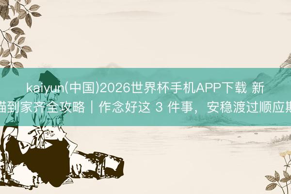 kaiyun(中国)2026世界杯手机APP下载 新猫到家齐全攻略｜作念好这 3 件事，安稳渡过顺应期
