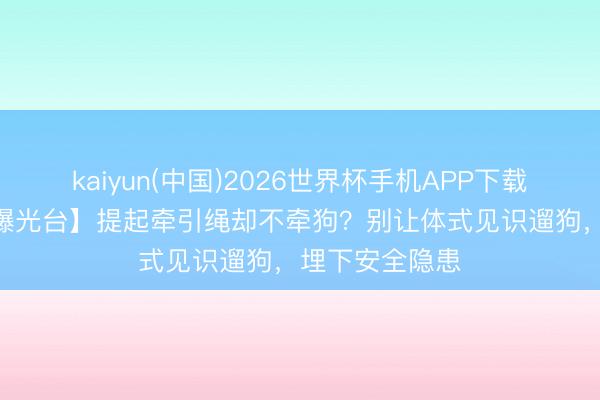 kaiyun(中国)2026世界杯手机APP下载 【城市漂后·曝光台】提起牵引绳却不牵狗？别让体式见识遛狗，埋下安全隐患