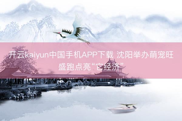 开云kaiyun中国手机APP下载 沈阳举办萌宠旺盛跑点亮“它经济”