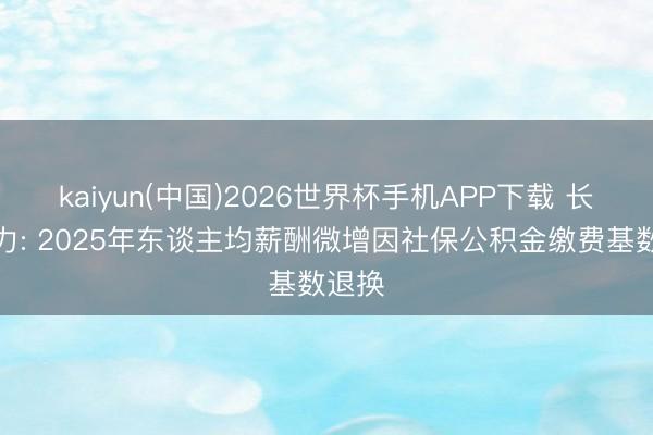 kaiyun(中国)2026世界杯手机APP下载 长源电力: 2025年东谈主均薪酬微增因社保公积金缴费基数退换
