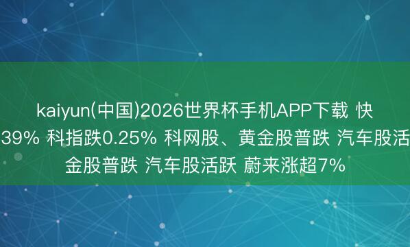 kaiyun(中国)2026世界杯手机APP下载 快讯：恒指低开0.39% 科指跌0.25% 科网股、黄金股普跌 汽车股活跃 蔚来涨超7%