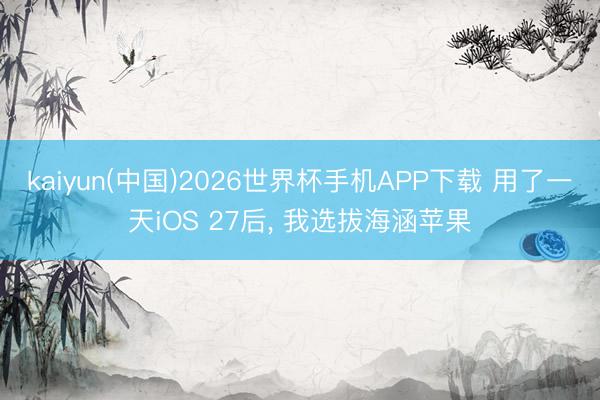 kaiyun(中国)2026世界杯手机APP下载 用了一天iOS 27后， 我选拔海涵苹果