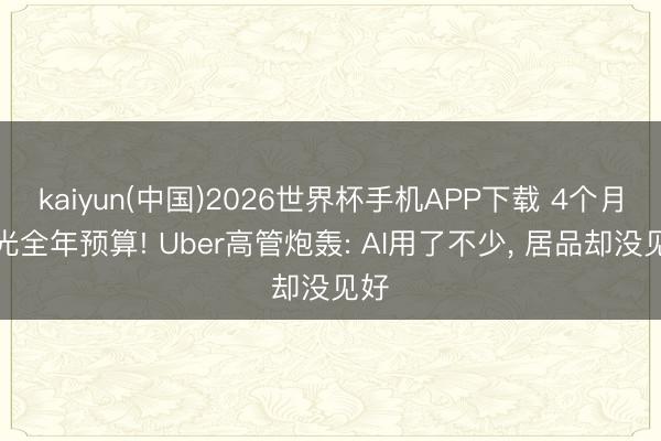 kaiyun(中国)2026世界杯手机APP下载 4个月烧光全年预算! Uber高管炮轰: AI用了不少， 居品却没见好