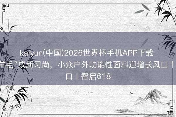 kaiyun(中国)2026世界杯手机APP下载 夏令穿“羊毛”成新习尚，小众户外功能性面料迎增长风口丨智启618