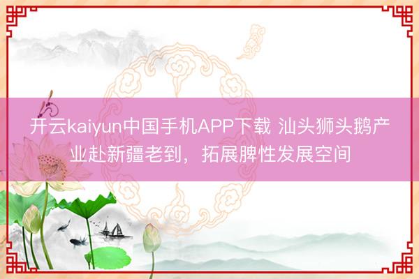 开云kaiyun中国手机APP下载 汕头狮头鹅产业赴新疆老到，拓展脾性发展空间