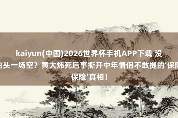 kaiyun(中国)2026世界杯手机APP下载 没遗嘱=白头一场空？黄大炜死后事撕开中年情侣不敢提的‘保险’真相！