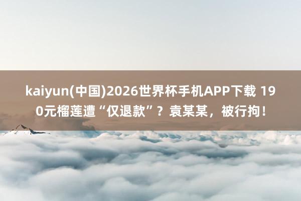 kaiyun(中国)2026世界杯手机APP下载 190元榴莲遭“仅退款”？袁某某，被行拘！